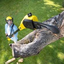 Artificial Turf Installation in Bridgeport, NE
